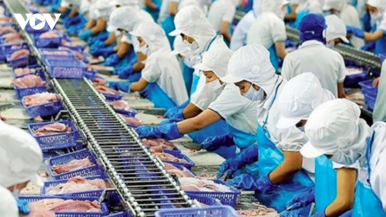 Seafood sector adapts to new markets, targets US$11 billion in exports